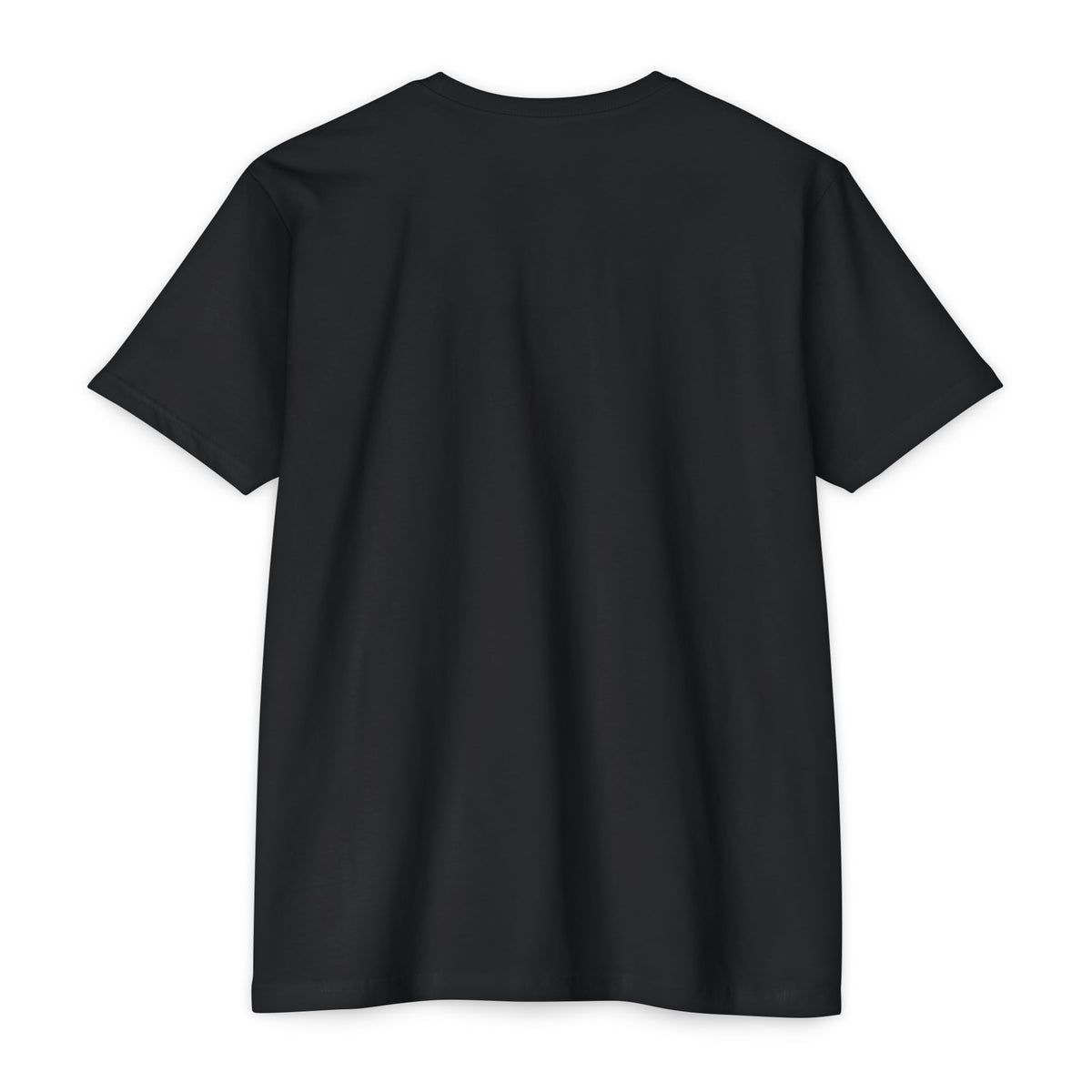 Unisex CVC T-shirt