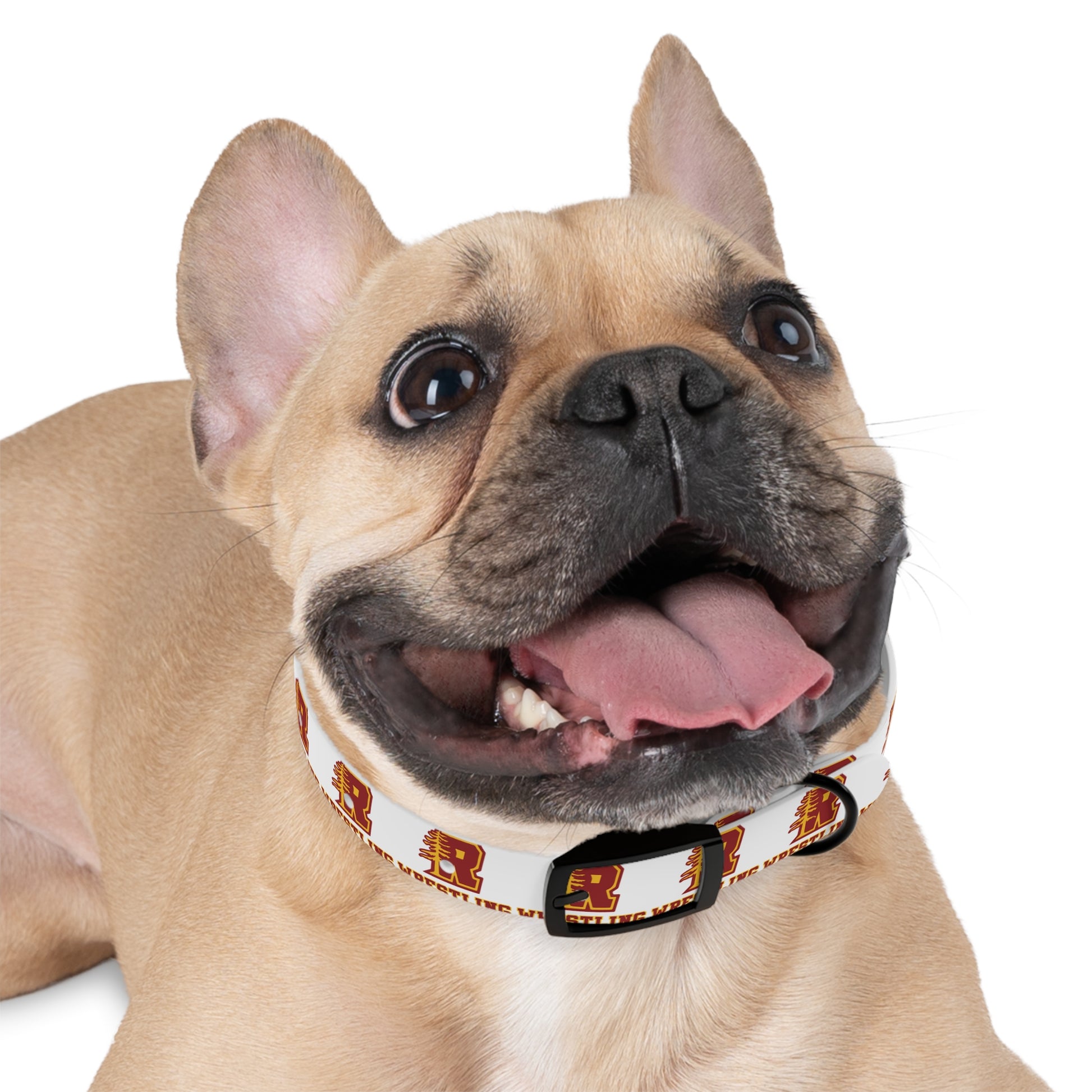 Redwoods Dog Collar — School Spirit Pet Accessory