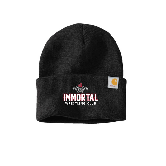 Carhartt Watch Cap 2.0