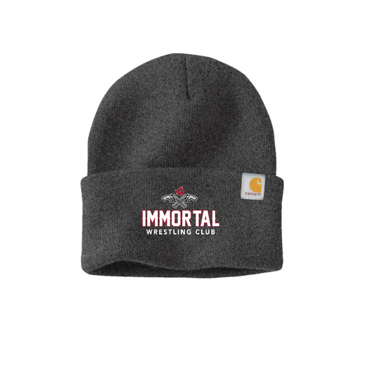 Carhartt Watch Cap 2.0