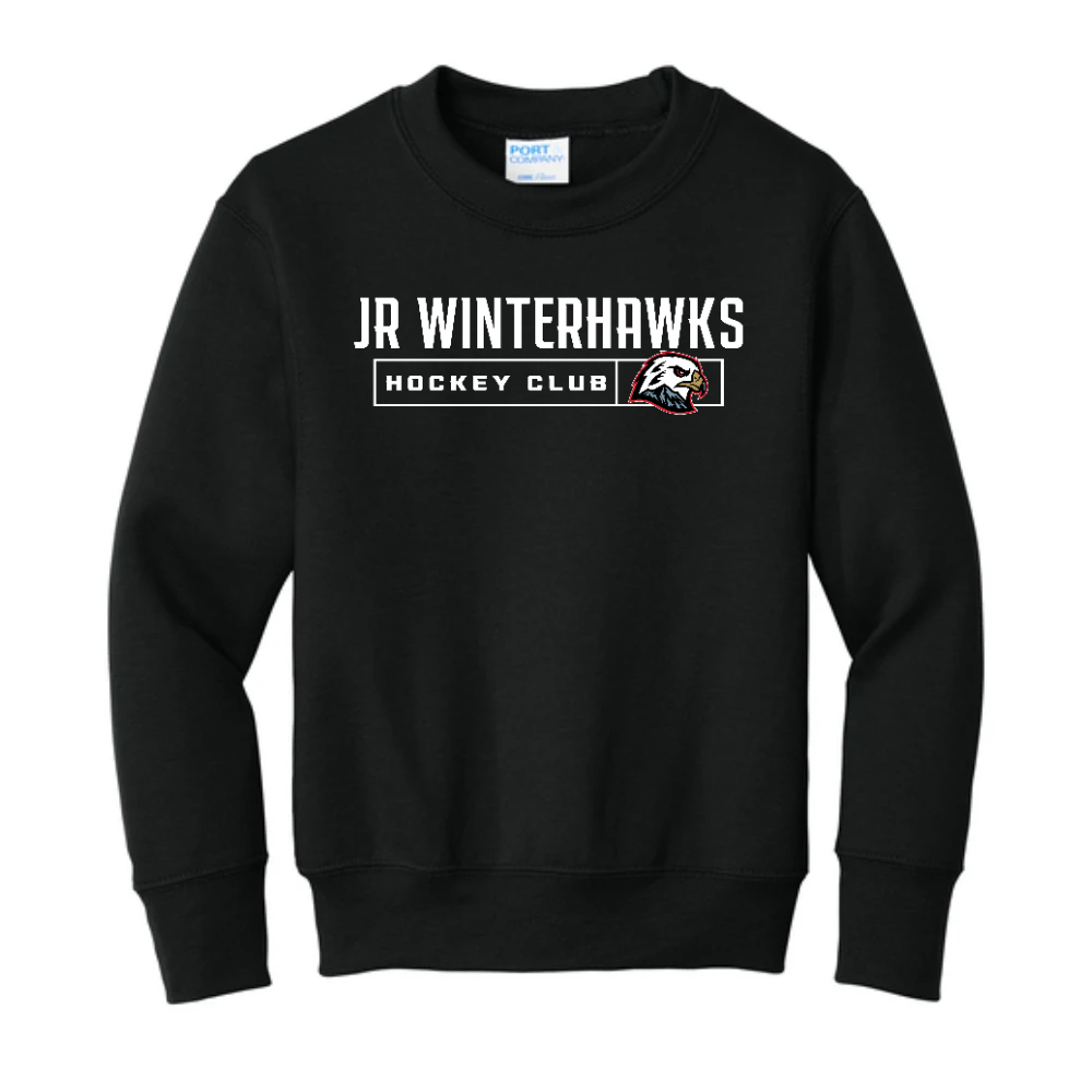 Youth Core Fleece Crewneck Sweatshirt