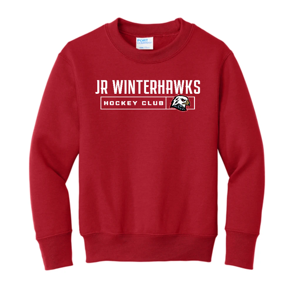 Youth Core Fleece Crewneck Sweatshirt